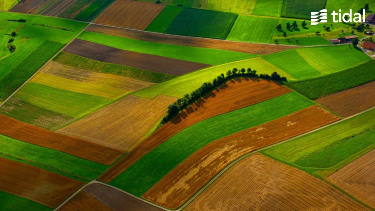 Your environment changes, naturally